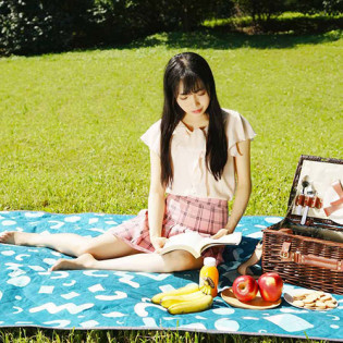 Xiaomi Early Wind Skin-friendly Moisture-proof Picnic Mat Blue/Green